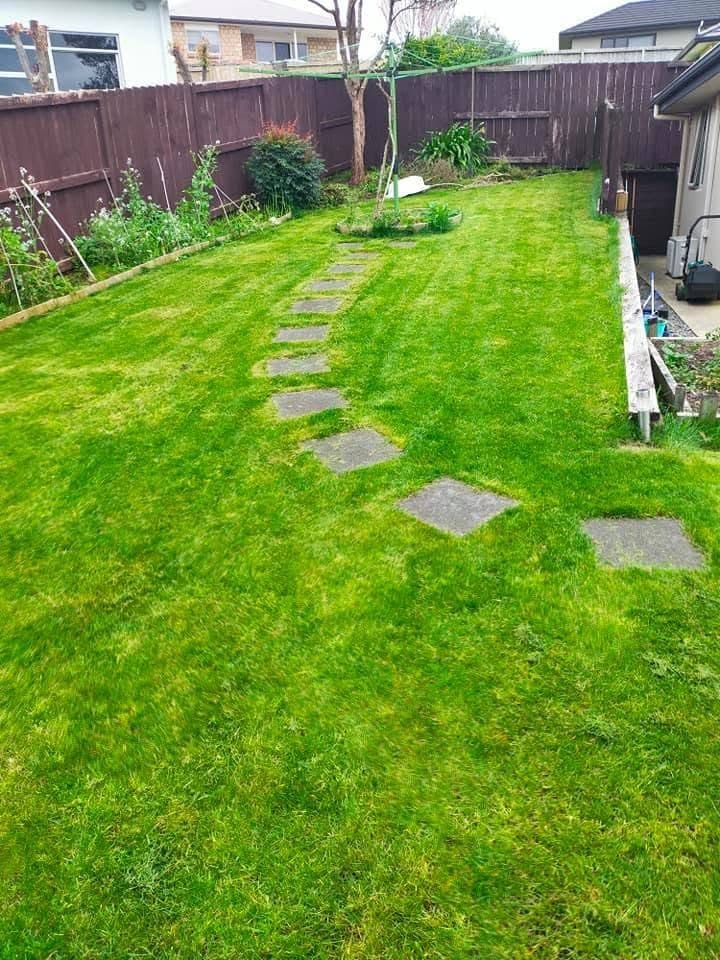 New back lawn with a line of concrete stepping stones running to the fence
